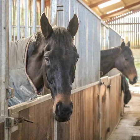 펜션 The 서스크